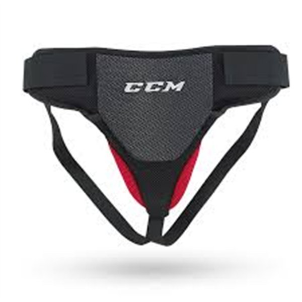 PROTECTEUR PLEVIEN CCM